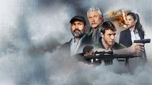 Снайпер: Идеальное убийство (фильм, 2017)
