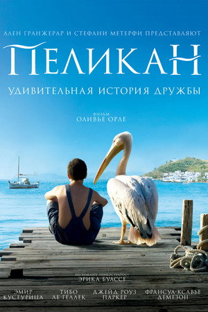 Пеликан (фильм, 2011)