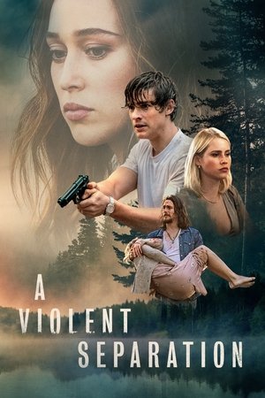 Насильственное разделение (фильм, 2019)