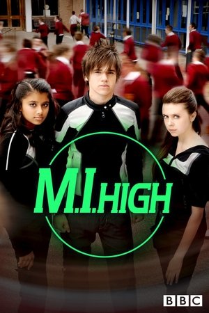 Секретные агенты (сериал, 2007)