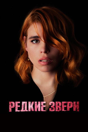 Редкие звери (фильм, 2019)