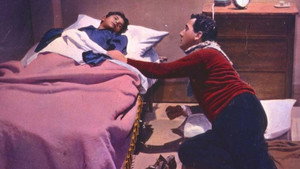 Брависсимо (фильм, 1955)