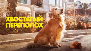 Хвостатый переполох (фильм, 2024)