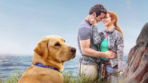 Наставник для Эмили (фильм, 2023)