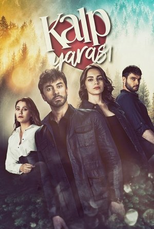 Сердечная рана (сериал, 2021)