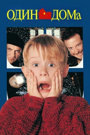 Один дома (фильм, 1990)