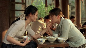 Дочери китайского ботаника (фильм, 2006)