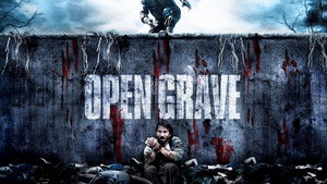 Открытая могила (фильм, 2013)