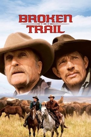 Прерванный путь (фильм, 2006)