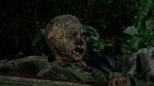 Могильный холм (фильм, 1981)
