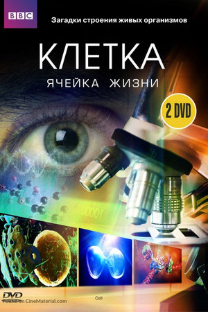 BBC: Клетка (сериал, 2009)