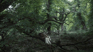 Переплетённые (фильм, 2019)