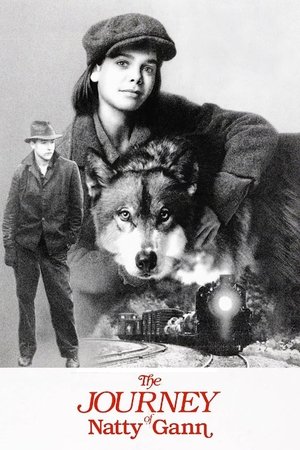 Путешествие Нэтти Ганн (фильм, 1985)