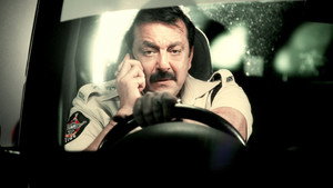Два в одном: Полицейский и бандит (фильм, 2013)