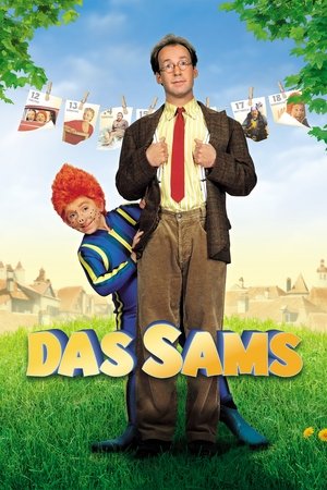 Рыжий пятачок (фильм, 2001)