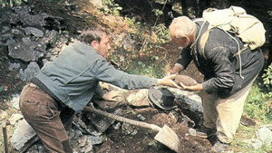 Стервятники (фильм, 1969)