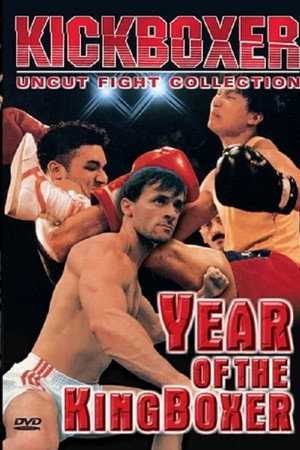 Год кикбоксера (фильм, 1991)