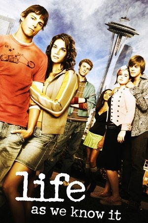 Переходный возраст (сериал, 2004)