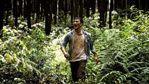 Аномальный вид (фильм, 2012)