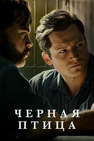 Чёрная птица (сериал, 2022)