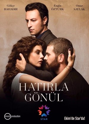 Вспомни, Гёнюль (сериал, 2015)