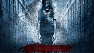 Камера 213 (фильм, 2011)