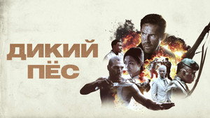 Дикий пёс (фильм, 2017)