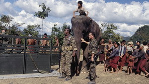 Операция "Слон" (фильм, 1995)