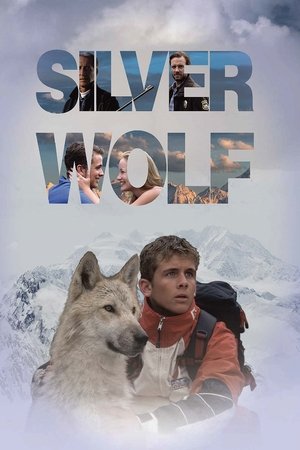 Серебряный волк (фильм, 1999)