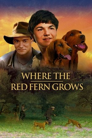Цветок Красного папоротника (фильм, 2003)
