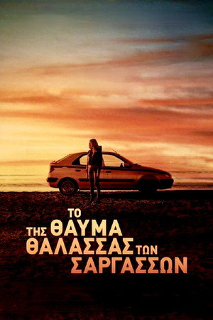 Чудо Саргассова моря (фильм, 2019)