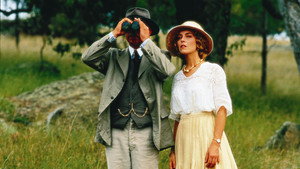 Провинциальный роман (фильм, 1994)