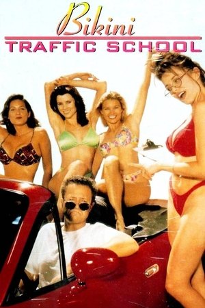 Автошкола «Бикини» (фильм, 1998)