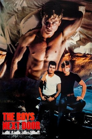 Соседские мальчишки (фильм, 1984)