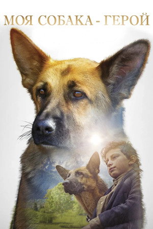 Моя собака — герой (фильм, 2019)