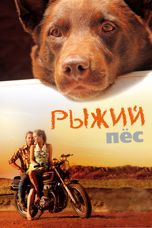 Рыжий пес (фильм, 2011)