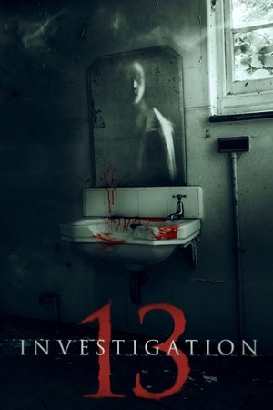 Расследование 13 (мультфильм, 2019)
