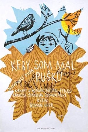 Если бы у меня было ружье (фильм, 1971)