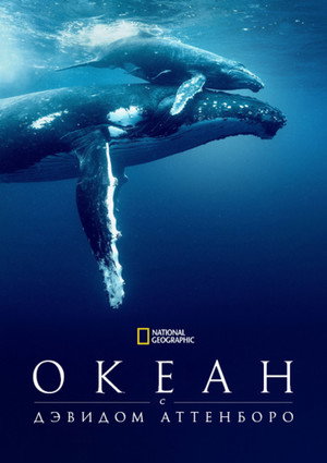 Дэвид Аттенборо: Океан (фильм, 2025)