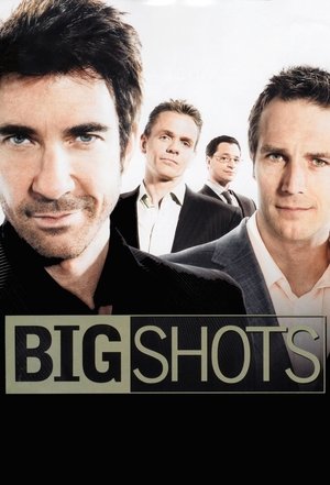 Мужчины в большом городе (сериал, 2007)