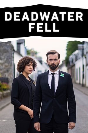 Падение в мёртвые воды (сериал, 2020)