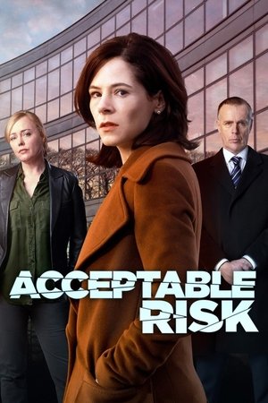 Допустимый риск (сериал, 2017)